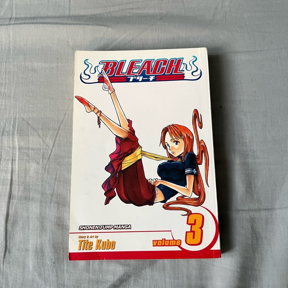 Bleach Volume 3 Manga